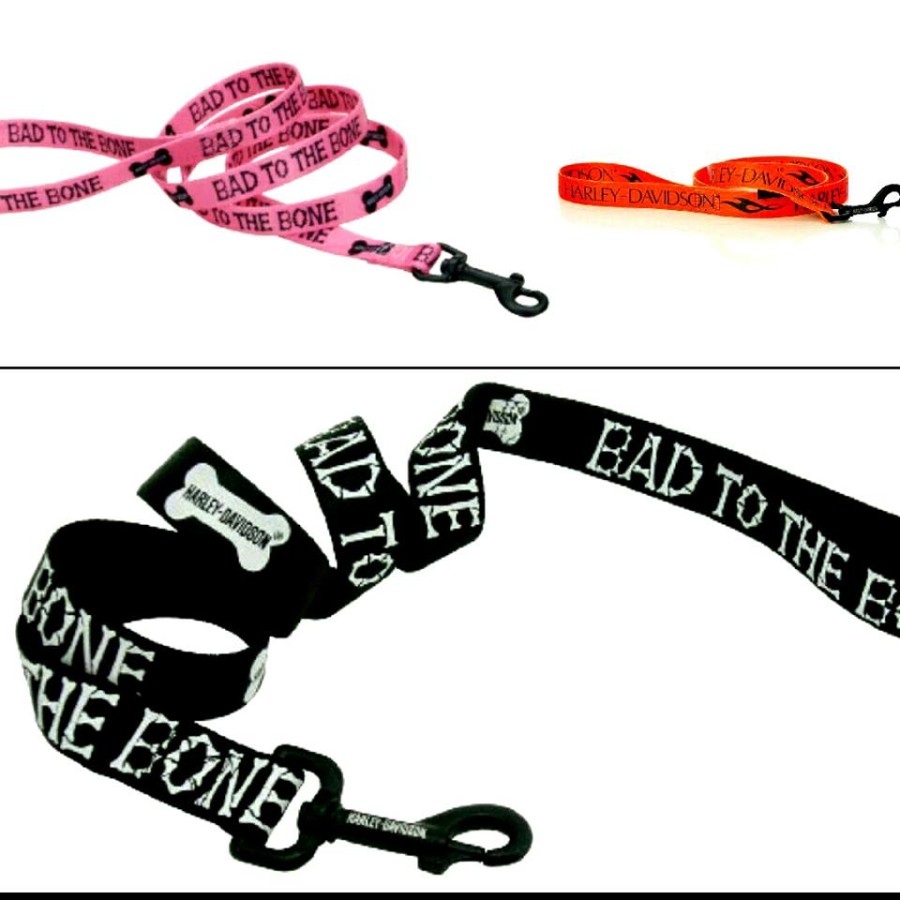 Guinzagli Harley-Davidson