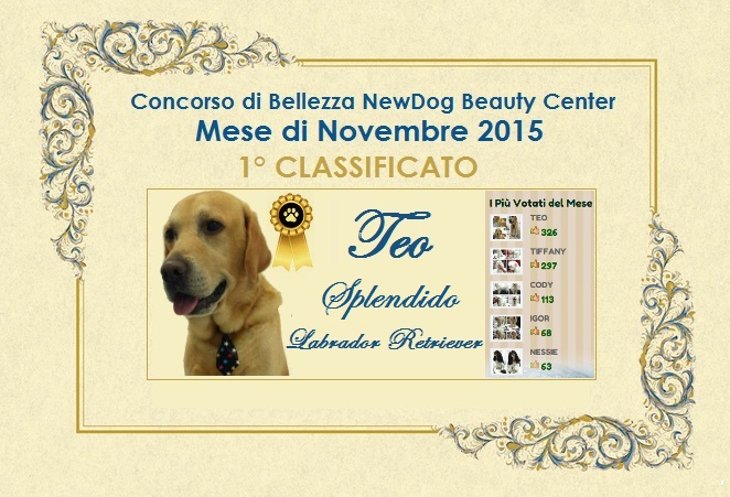 TEO VINCITORE NOVEMBRE 2015