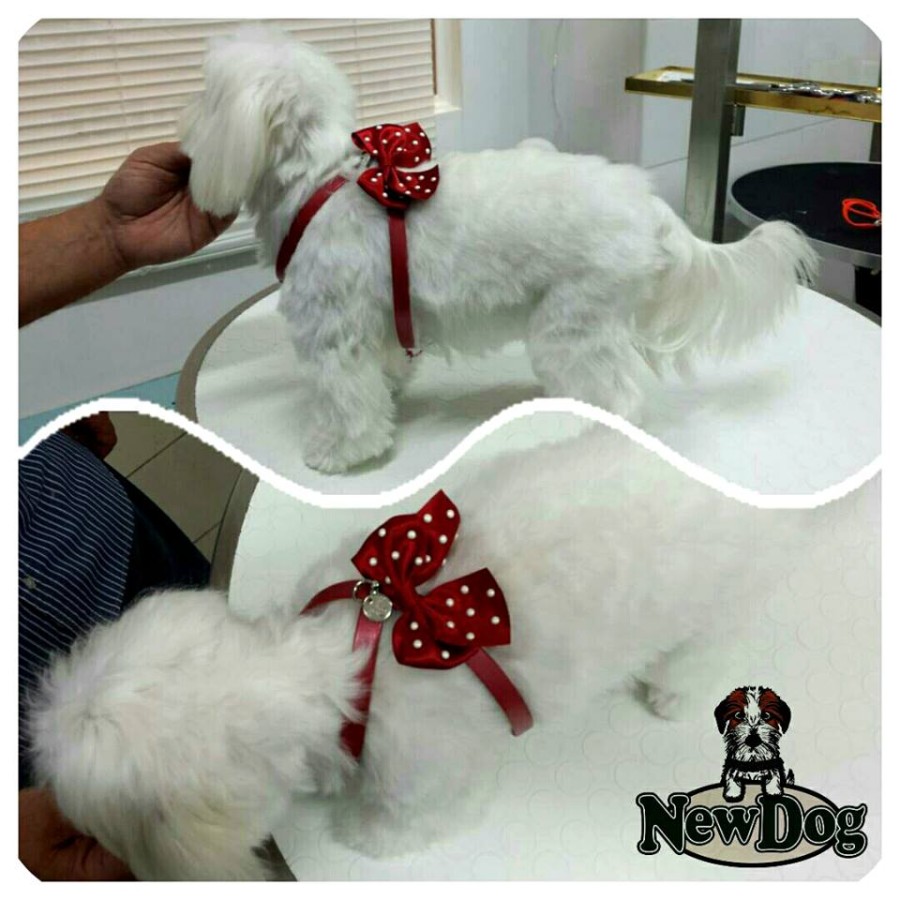 Pettorina con Fiocco e Perline