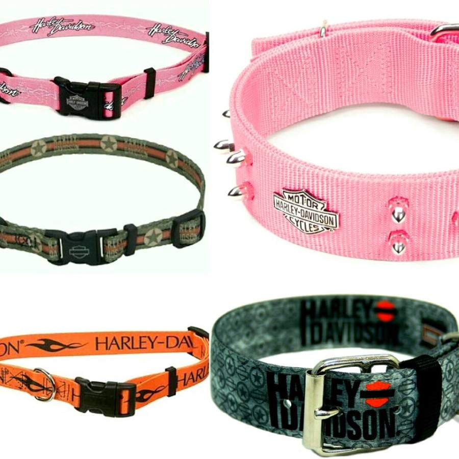 Collari Harely-Davidson
