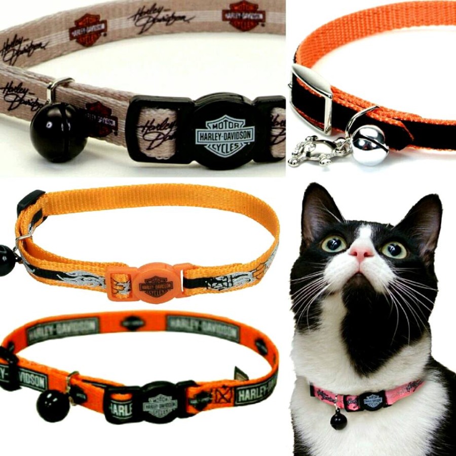 Collari Harely-Davidson