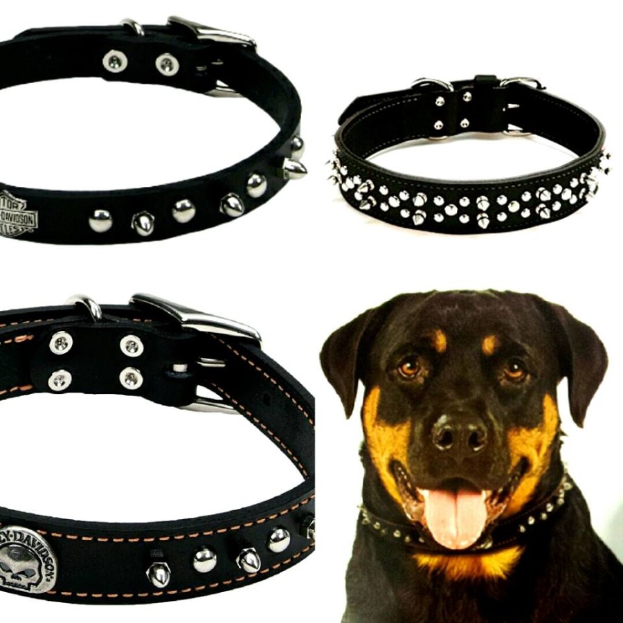 Collari Harley Davidson