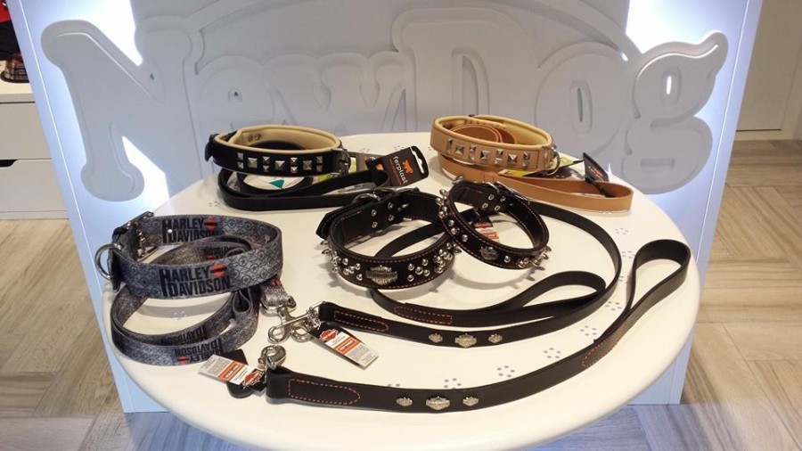 Collari e guinzagli Harley Davidson