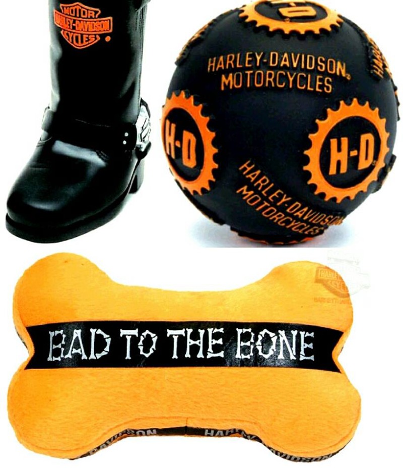 Giochi Harley Davidson