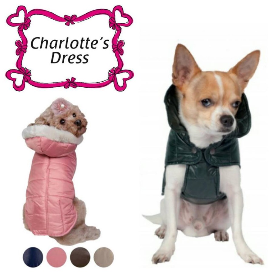 Giubbino Charlotte’s Dress