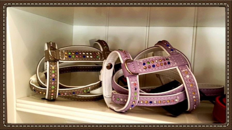 Pettorina ad H con Swarovski