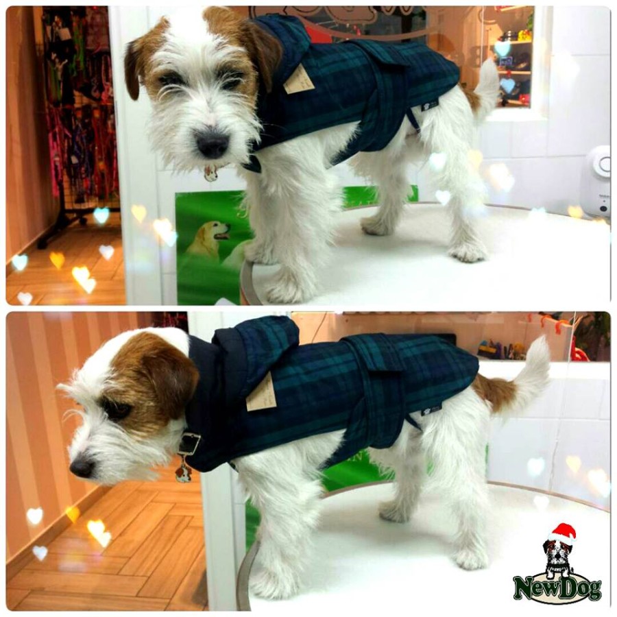 British Cappotto Franca Novello