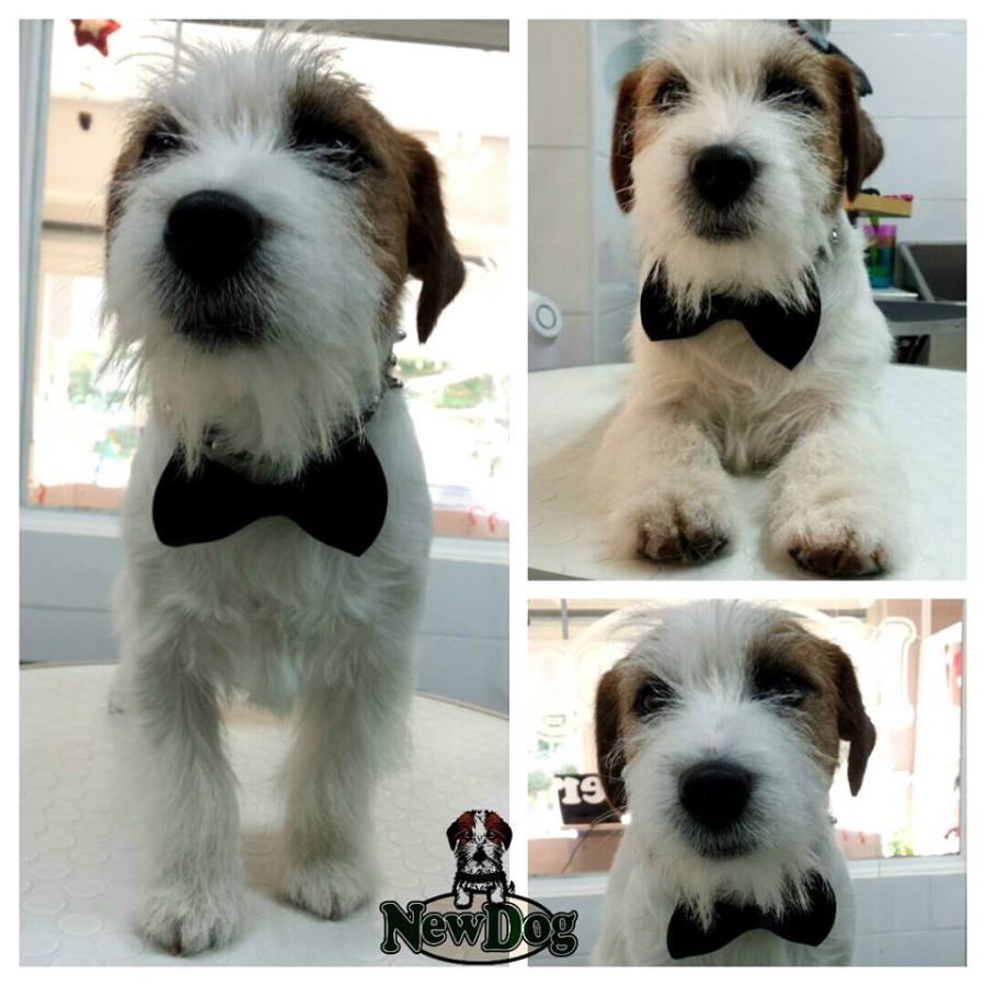 Pronto per festeggiare San Silvestro!!!!