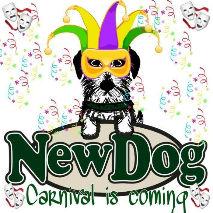 Carnival is Coming!!!