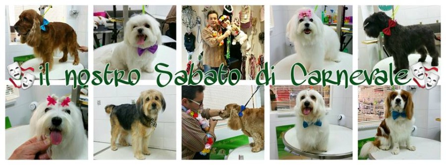 Il Nostro Sabato di Carnevale