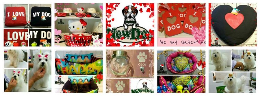 Regali di San Valentino per il tuo Amore a 4 Zampe