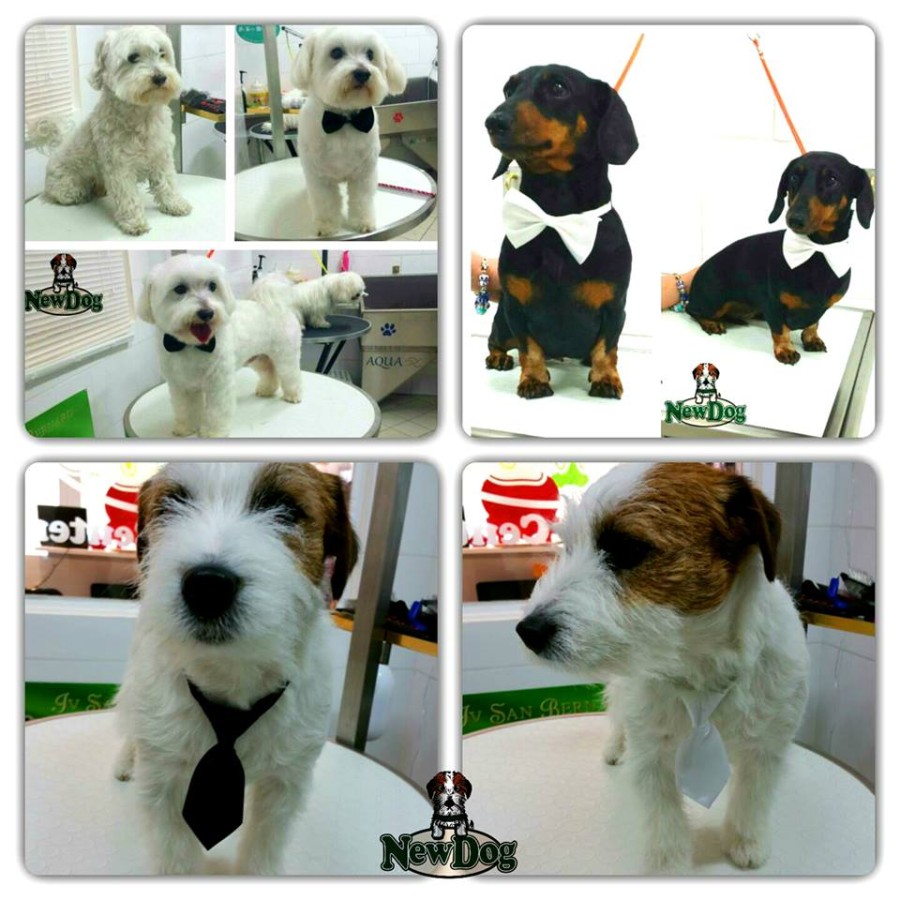 Cravattine e Papillon per Matrimoni