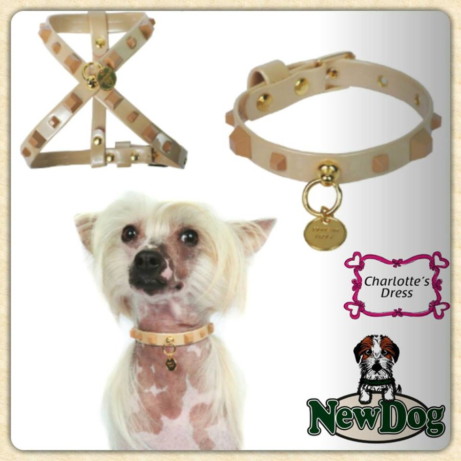 PETTORINA E COLLARE CHARLOTTE’S DRESS MOD. THOR