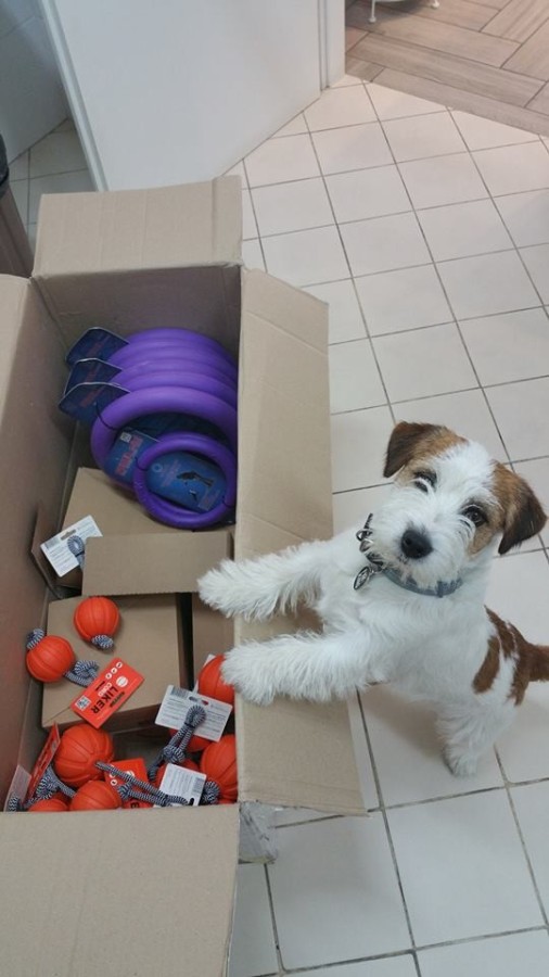 Me lo dai???? Ti prego ti prego ti prego!!!!