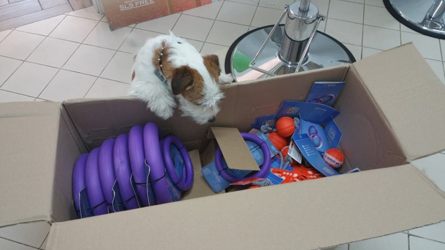 Nuovi arrivi!!! Giochi della COLLAR