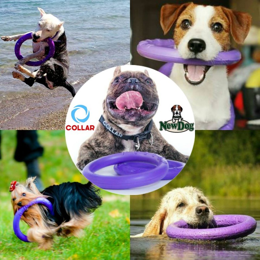 PULLER l’eccezionale gioco interattivo per cani