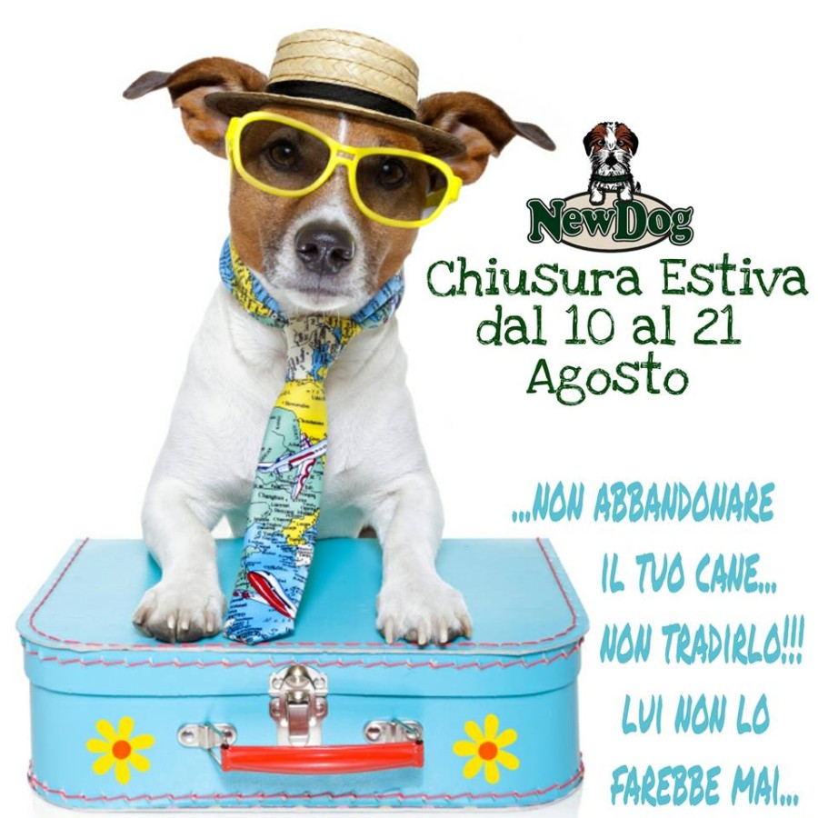 CHIUSURA ESTIVA 2016!!