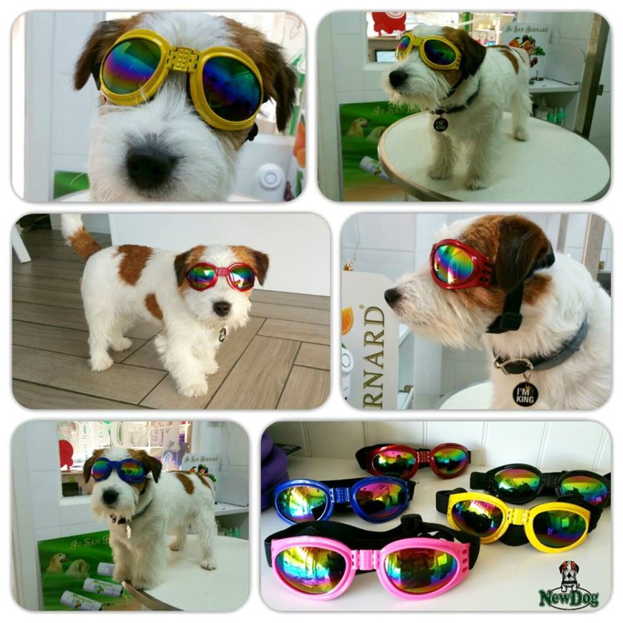 I fantastici occhiali da sole!!!