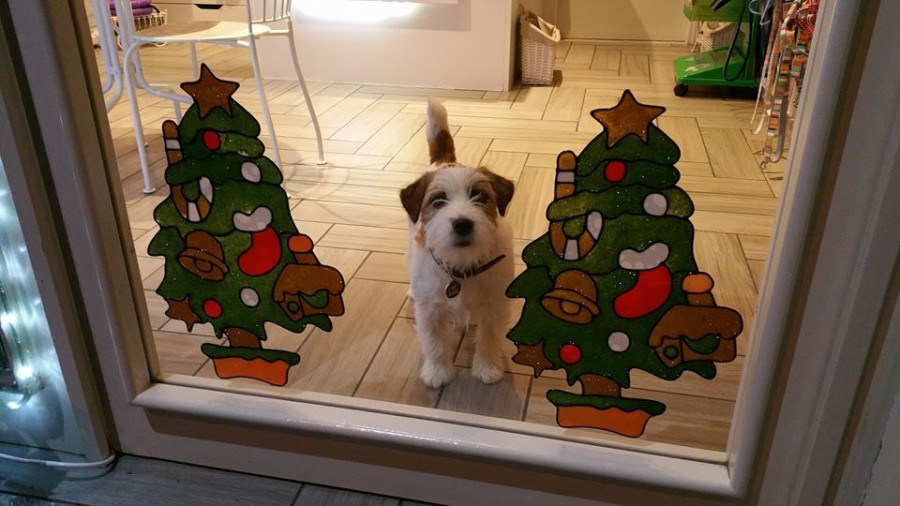 Anche a New piacciono questi addobbi!!!