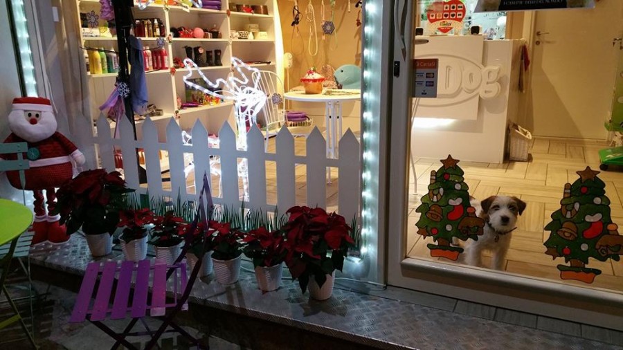 Aria di Natale anche da NewDog!!!