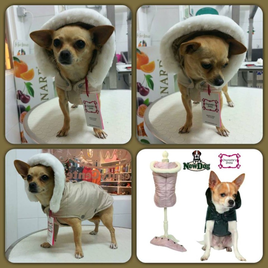 Giubbino Urban Chic di Charlotte’s Dress