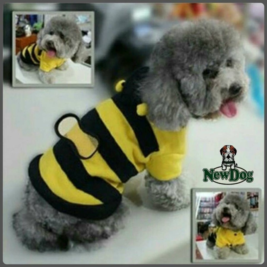 Costume Carnevale Ape