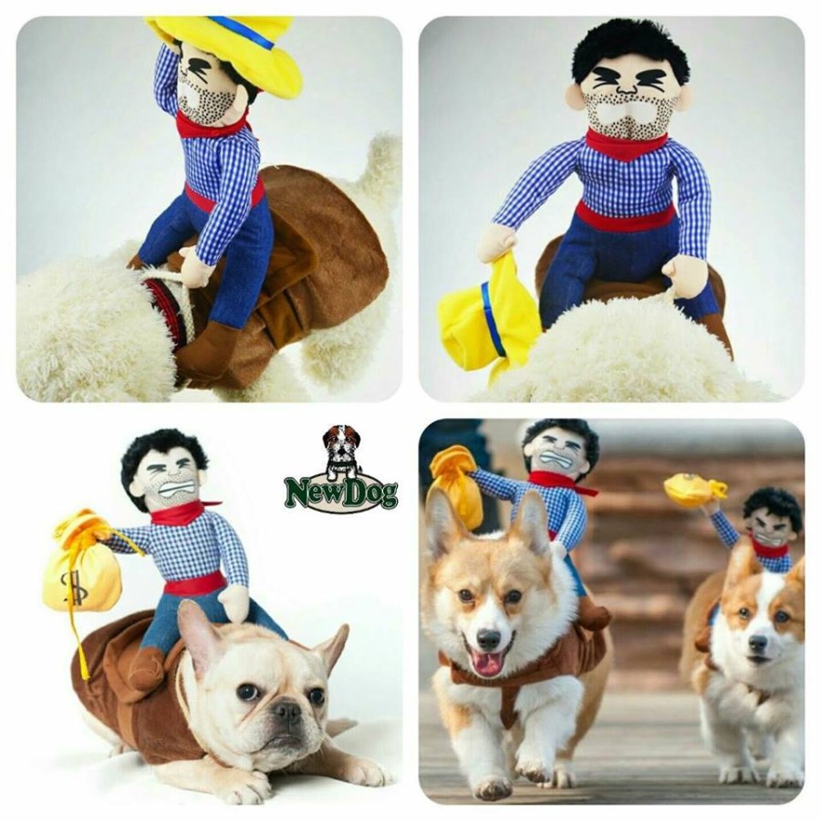 Costume Cowboy a Cavallo