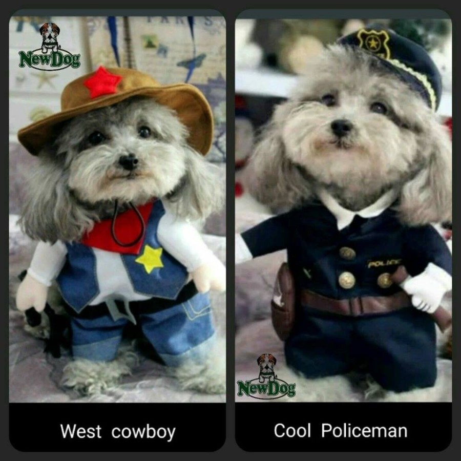 Costume Carnevale Cowboy e Poliziotto