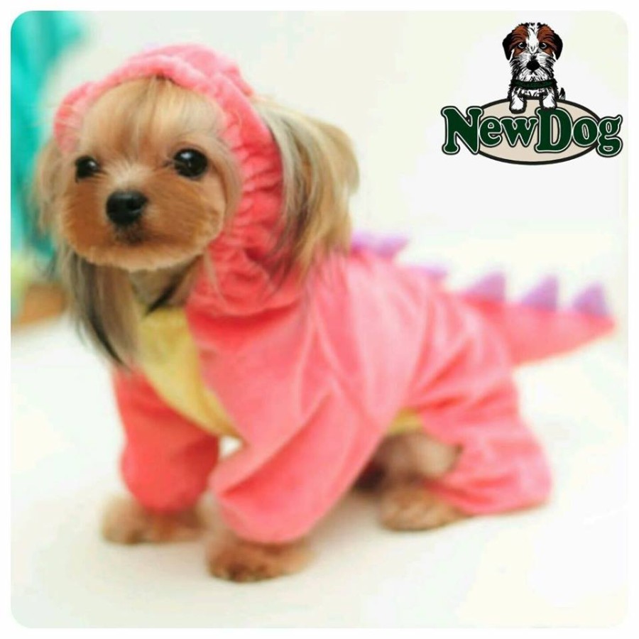 Costume Carnevale Rosa