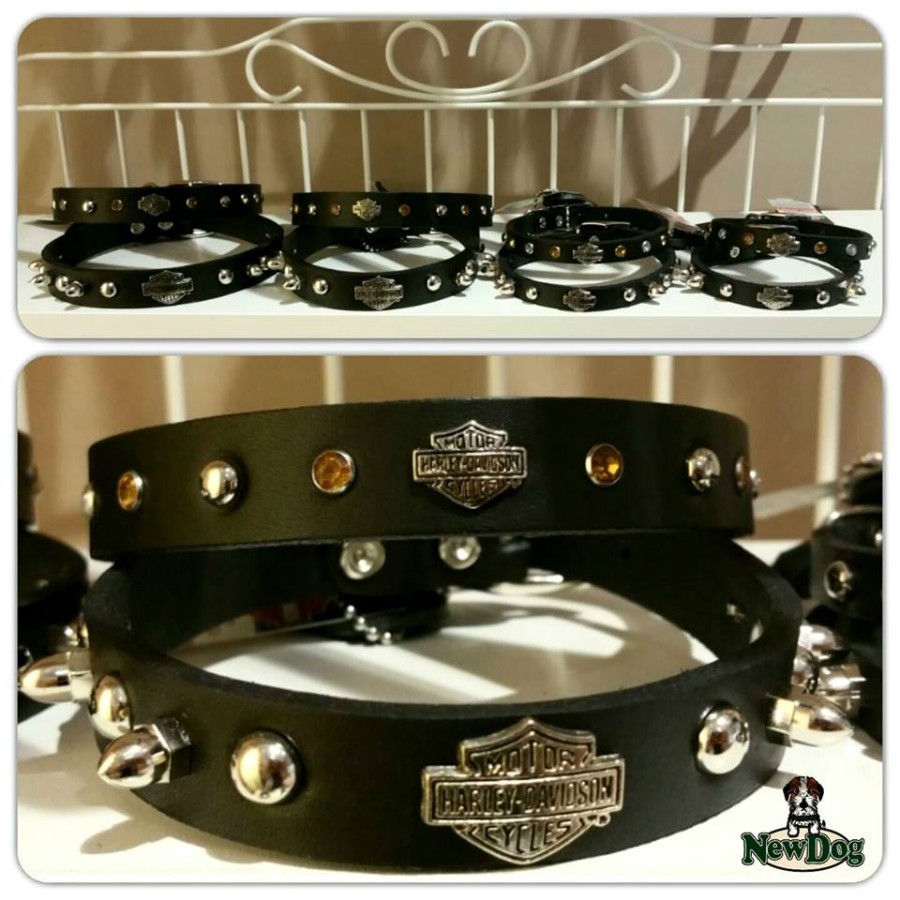 Collare Cuoio Nero Borchie e Gioiello