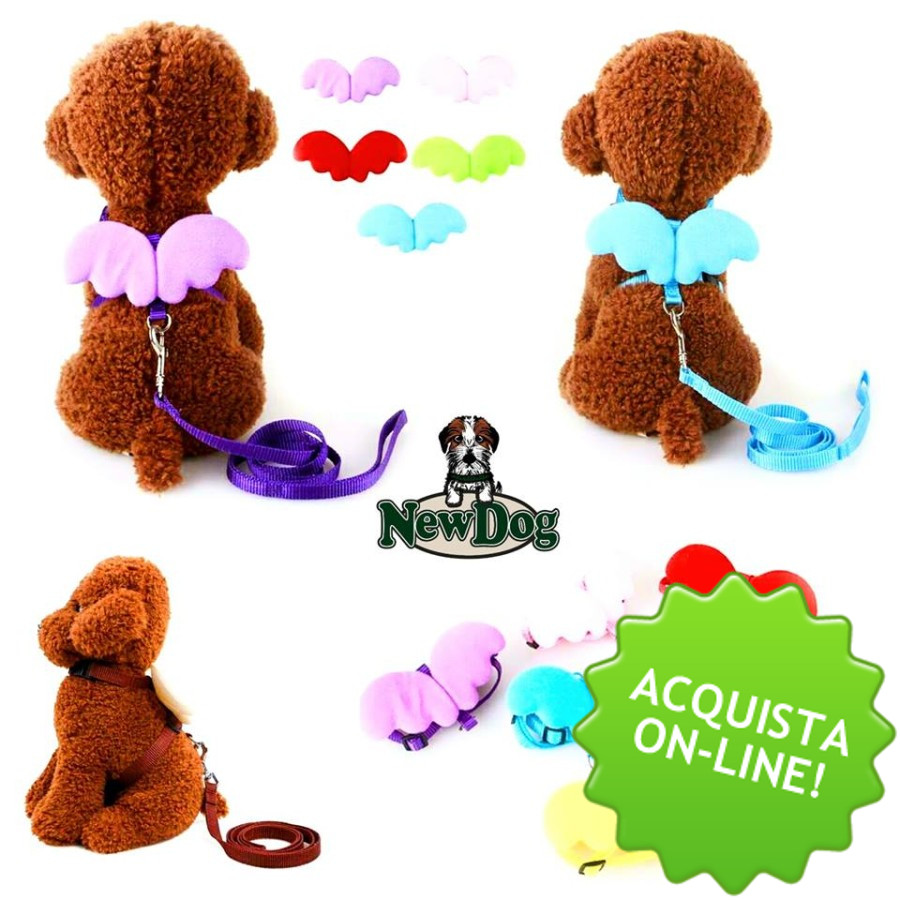 Pettorina con Ali di Angelo