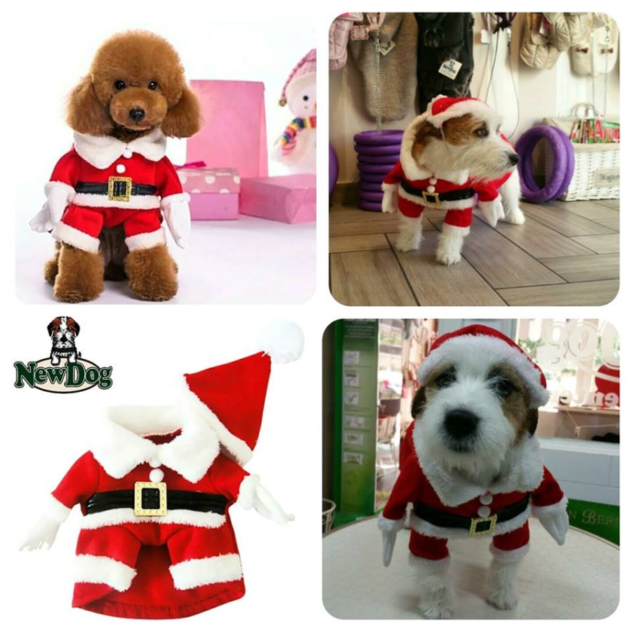 Abito Babbo Natale con Braccia