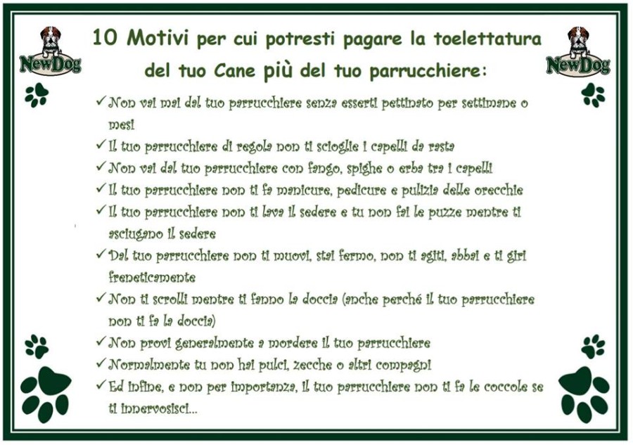 10 Motivi per cui potresti pagare la Toelettatura più del Parrucchiere