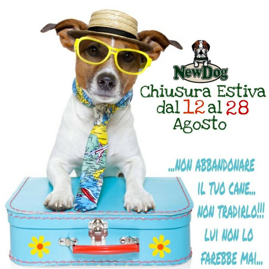 Chiusura Estiva 2017