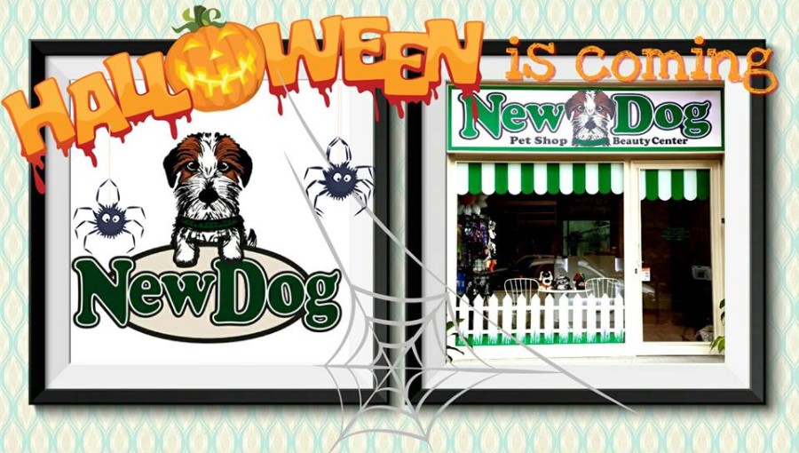 Halloween is coming!!!