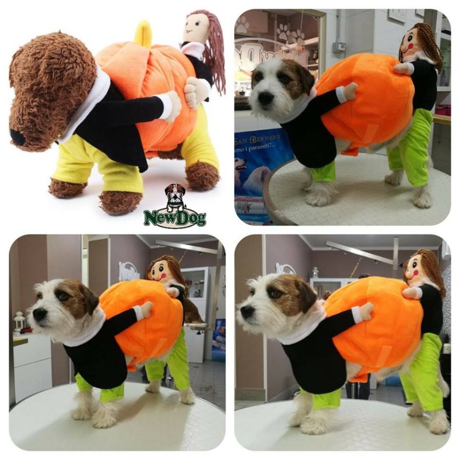 Costume Zucca di Halloween