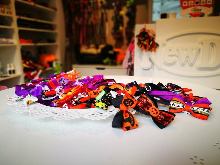 Papillon Halloween in Omaggio