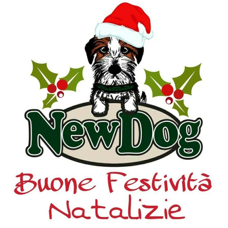 Buone Festività Natalizie