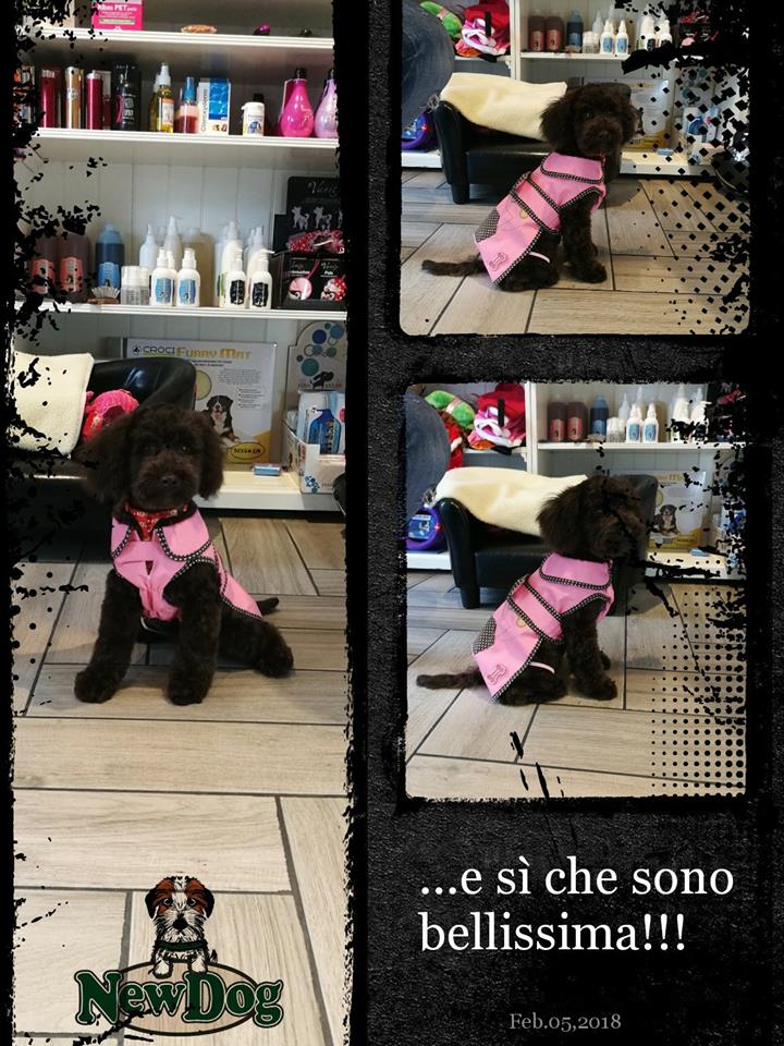 LILLY modella per NewDog