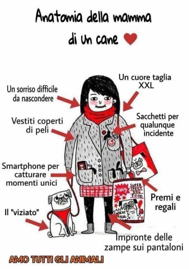 Anatomia della Mamma di un Cane