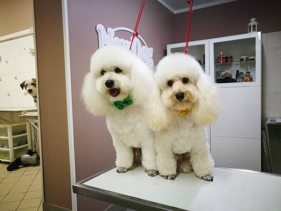 …trova l’intruso!!!