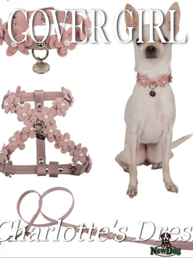 Charlotte’s Dress Modello Rosalie