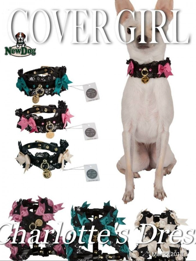 Charlotte’s Dress Modello Sharon