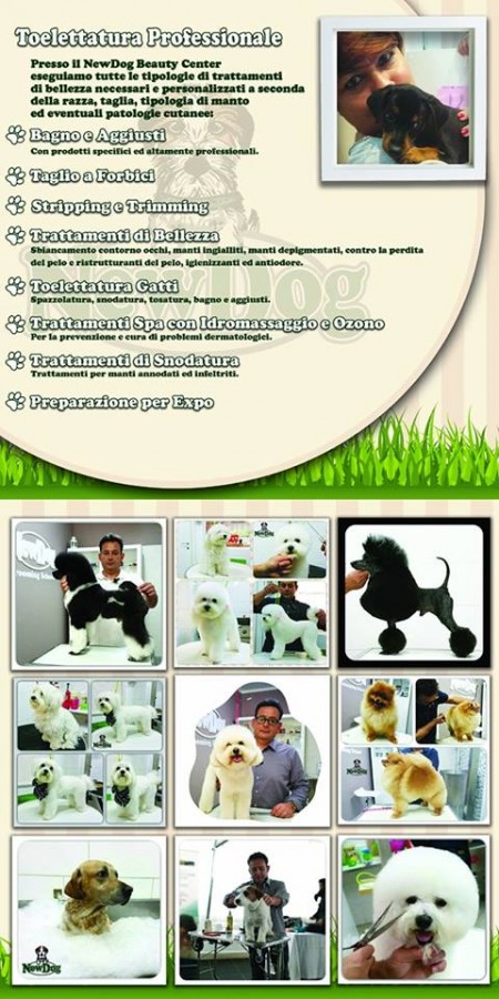 NewDog Beauty Center