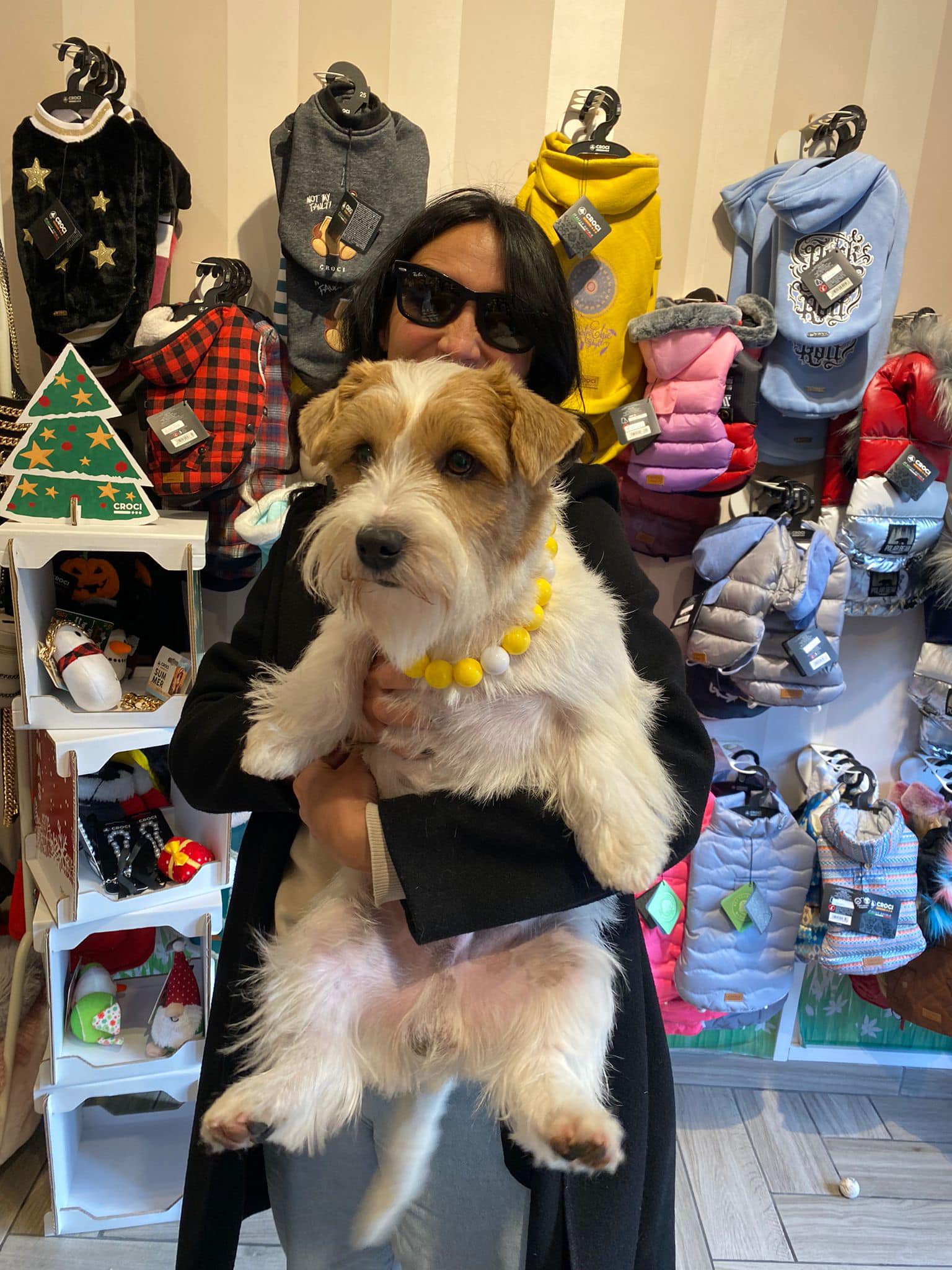 PEPE il Jack Russell Terrier