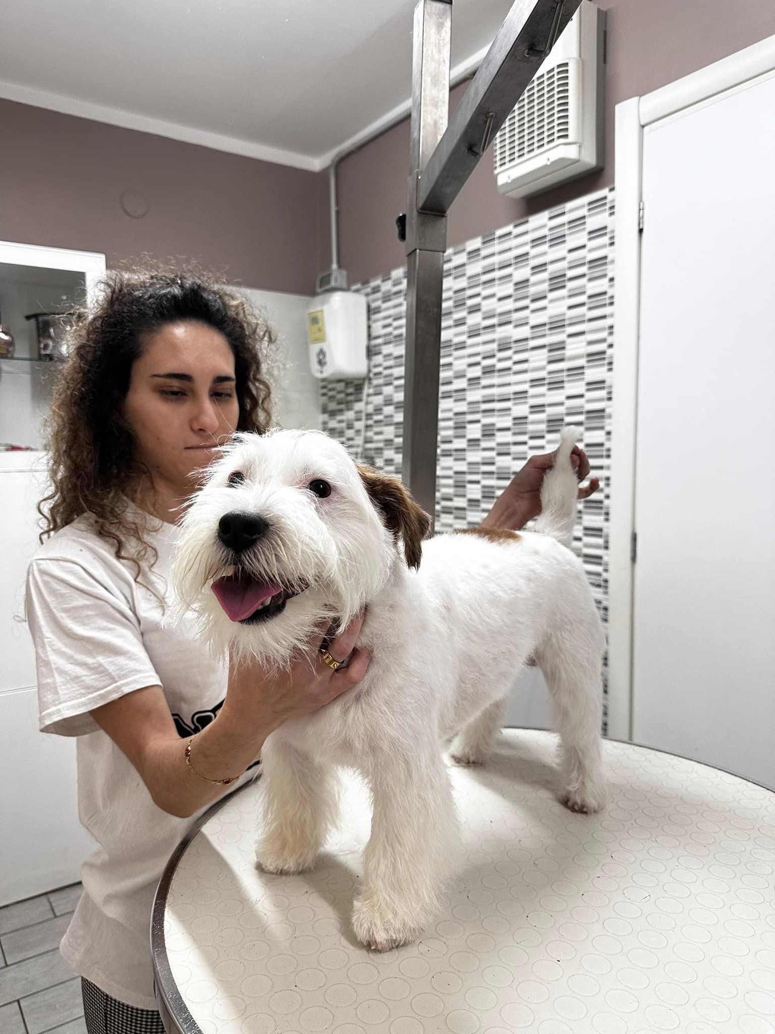 THANOS il Jack Russell Terrier