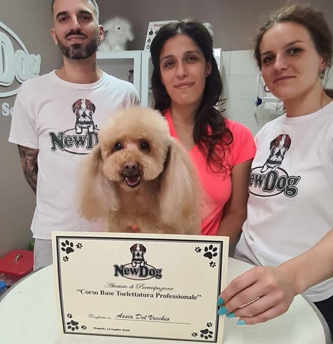 Complimenti ad Assia