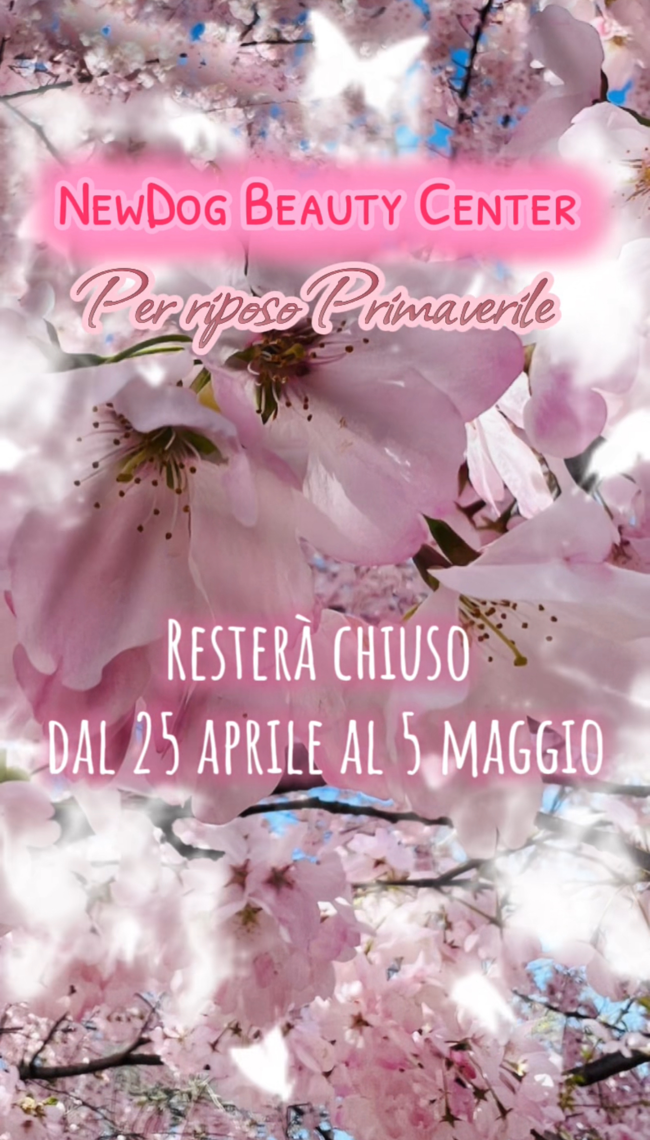 Chiusura Primaverile