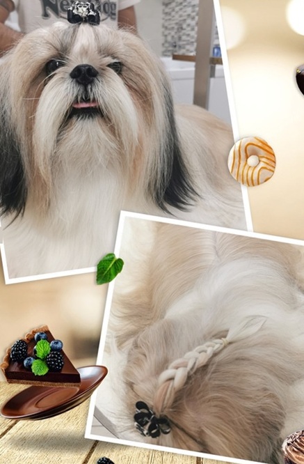 mantenimento pelo newdog